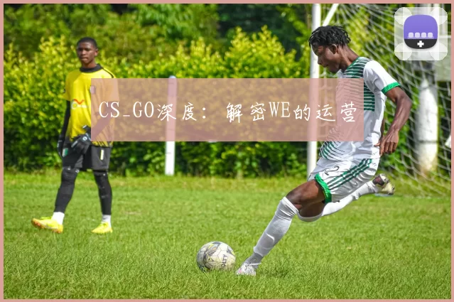 CS_GO深度：解密WE的运营