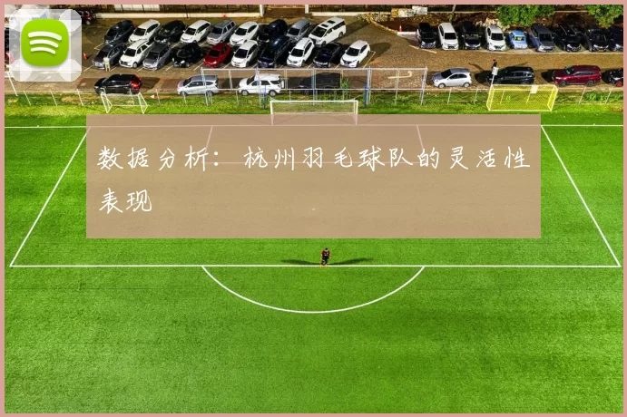 数据分析：杭州羽毛球队的灵活性表现